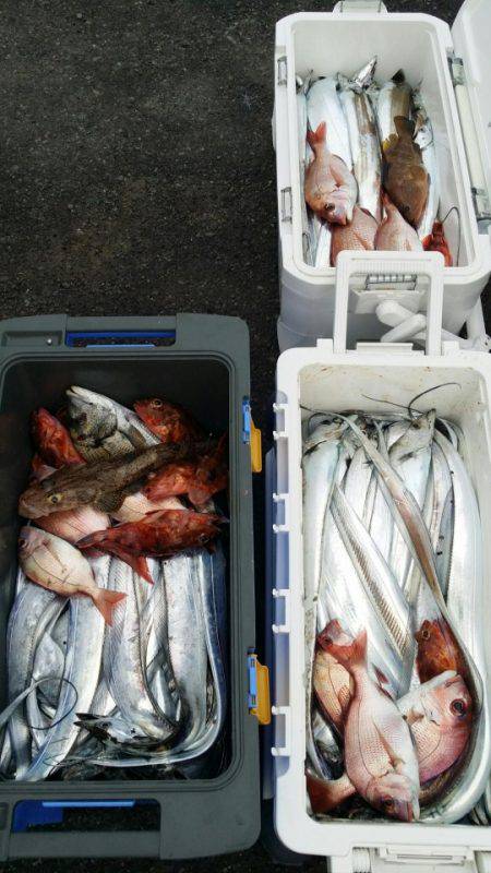 オーフリー 釣果