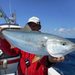 星龍丸 釣果