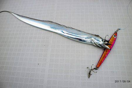 フルコンタクト 釣果