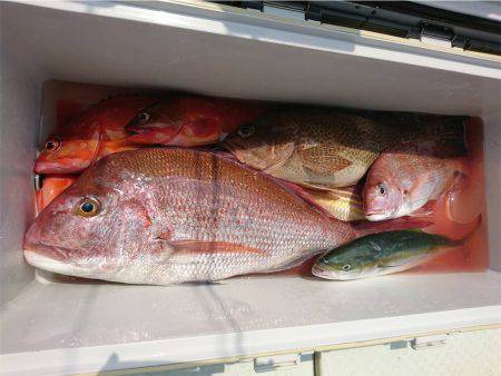 マタウマリンサービス 釣果