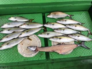 利弥丸（としやまる） 釣果