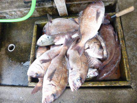 海釣り公園みかた 釣果