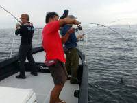 オーシャンマスター 釣果