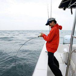 フルコンタクト 釣果