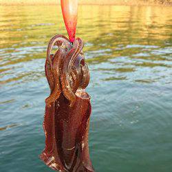 松本釣船2 釣果