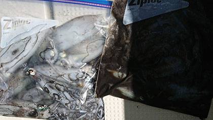 松本釣船2 釣果