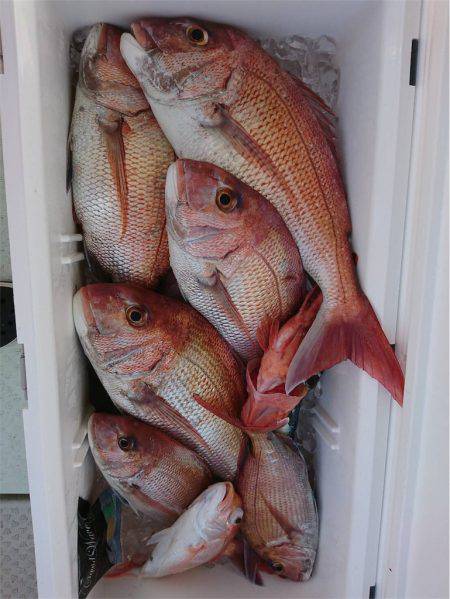 マタウマリンサービス 釣果