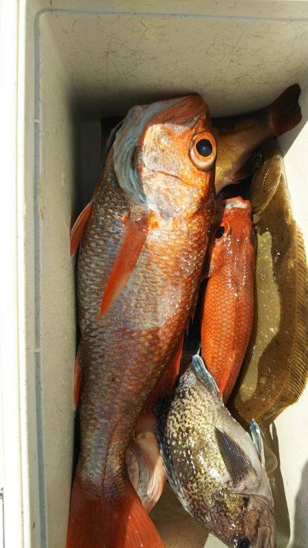 モンロー号 釣果