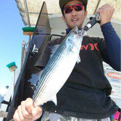 マタウマリンサービス 釣果