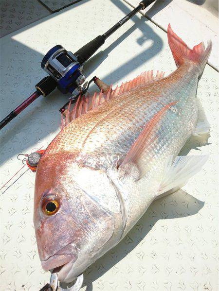 マタウマリンサービス 釣果