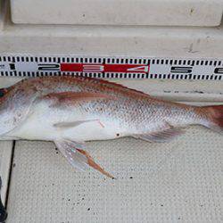 松本釣船2 釣果