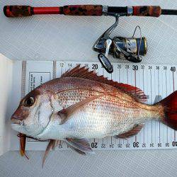 フルコンタクト 釣果