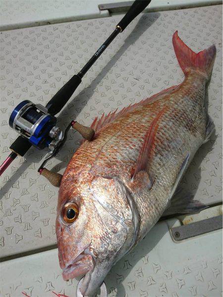 マタウマリンサービス 釣果