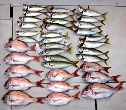 来温丸（らいおんまる） 釣果