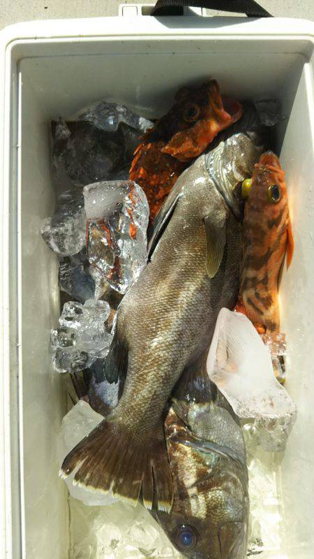 モンロー号 釣果