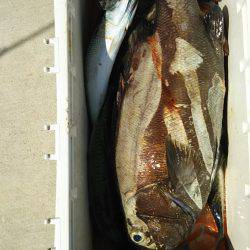 モンロー号 釣果