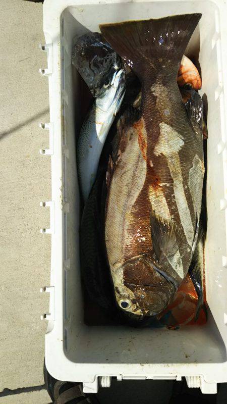 モンロー号 釣果