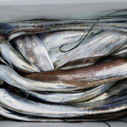 オーフリー 釣果