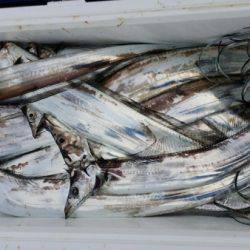 オーフリー 釣果