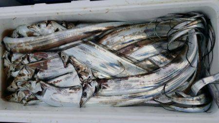 オーフリー 釣果