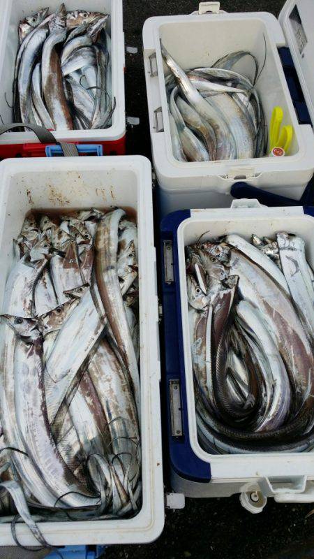 オーフリー 釣果