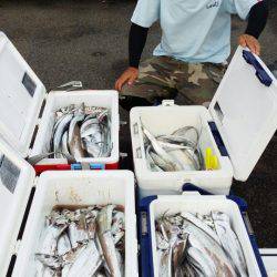 オーフリー 釣果