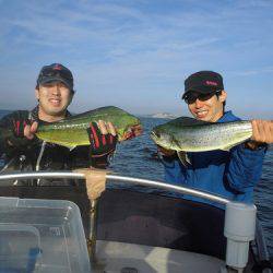 ルアー船マヒマヒ 釣果