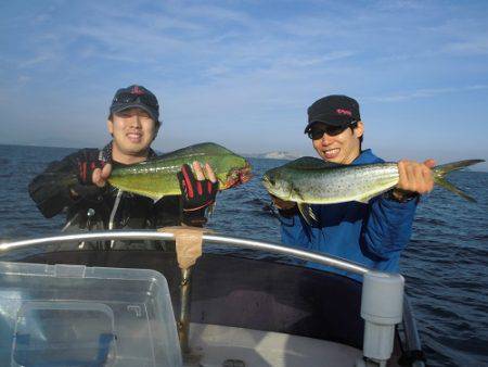 ルアー船マヒマヒ 釣果