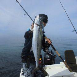 ルアー船マヒマヒ 釣果