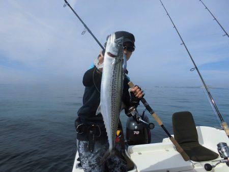 ルアー船マヒマヒ 釣果