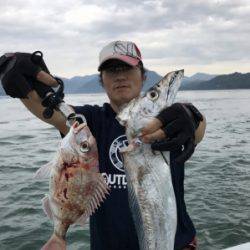 秀丸 釣果
