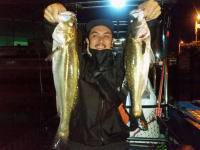 オーシャンマスター 釣果