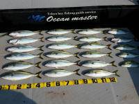 オーシャンマスター 釣果