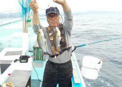 長栄丸(静岡) 釣果