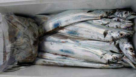 オーフリー 釣果