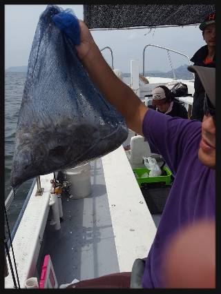 内浜丸 釣果