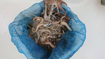 松本釣船２ 釣果