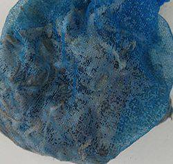 松本釣船２ 釣果