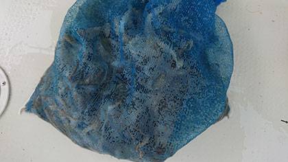 松本釣船２ 釣果