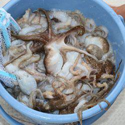 松本釣船2 釣果