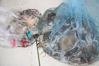 松本釣船2 釣果