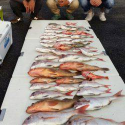 オーフリー 釣果