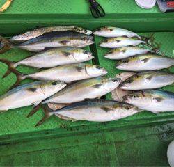 利弥丸（としやまる） 釣果