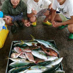 明神釣船 釣果
