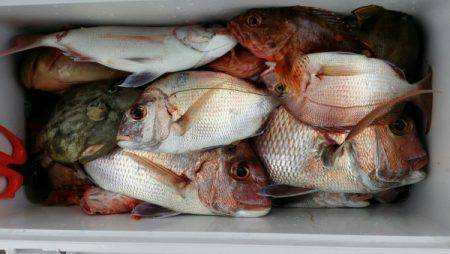 オーフリー 釣果