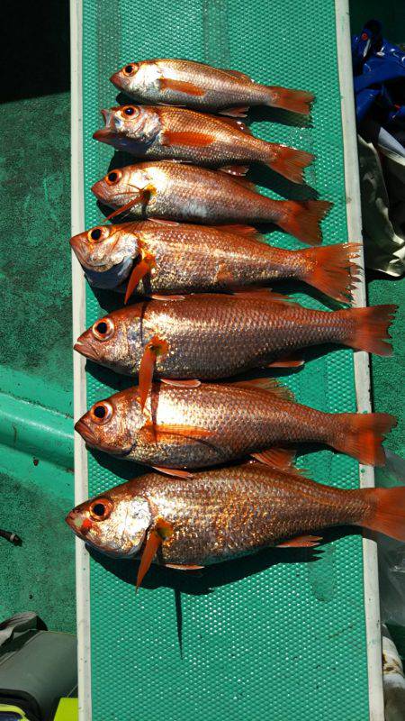 モンロー号 釣果