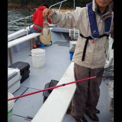 内浜丸 釣果