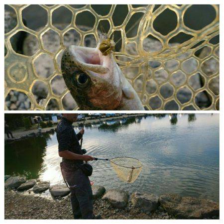 みどりフィッシングエリア 釣果