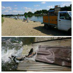 みどりフィッシングエリア 釣果