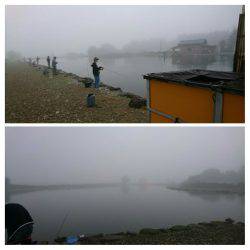 みどりフィッシングエリア 釣果